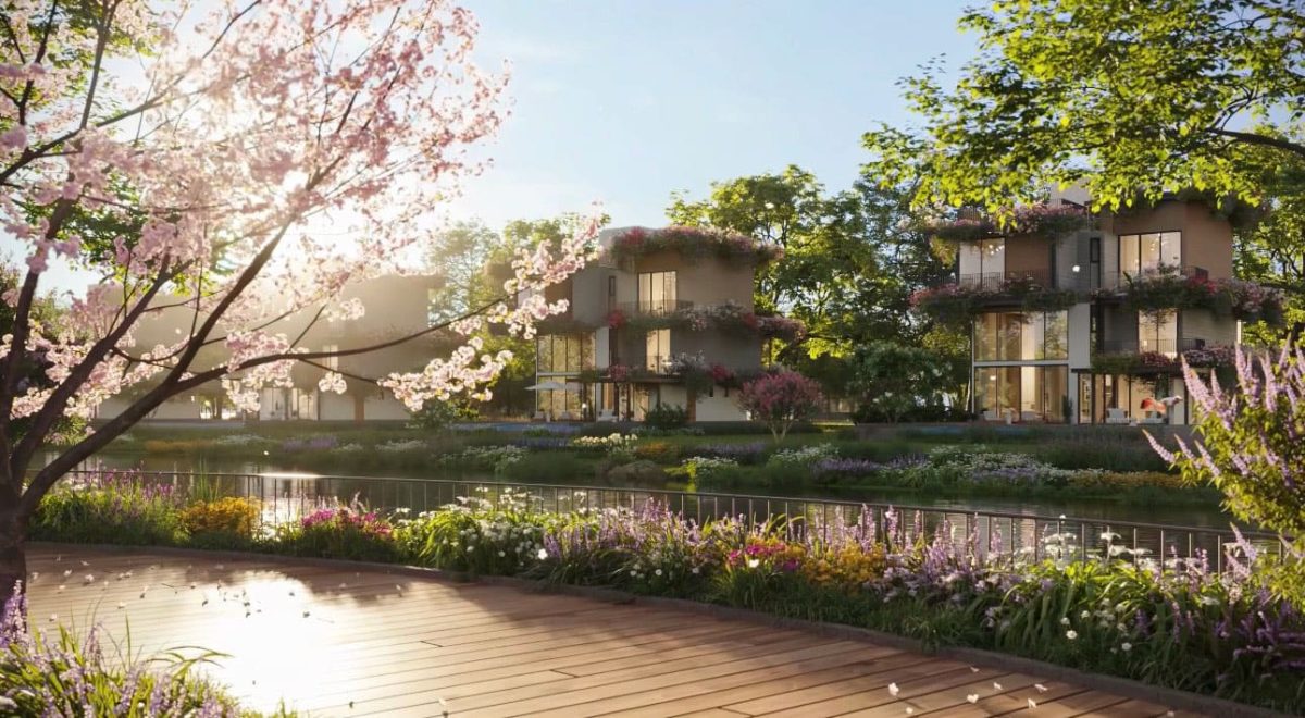 Dự án Springville Nhơn Trạch